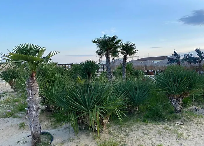 сирена スヴェティ・ヴラス