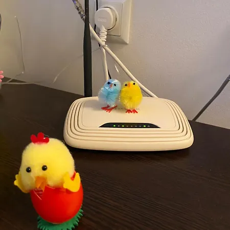 Apartment сирена