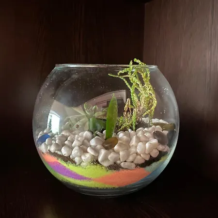 сирена Apartment *