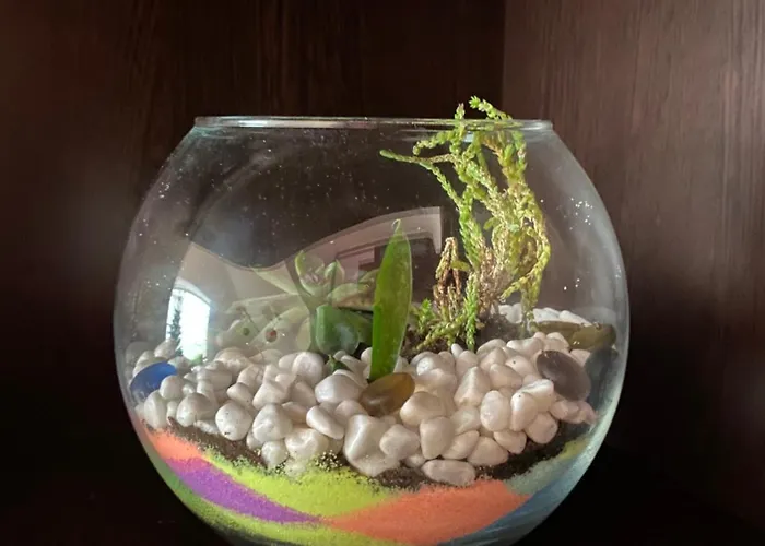 сирена Apartamento *